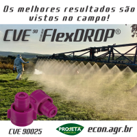 CVE _iv_9025